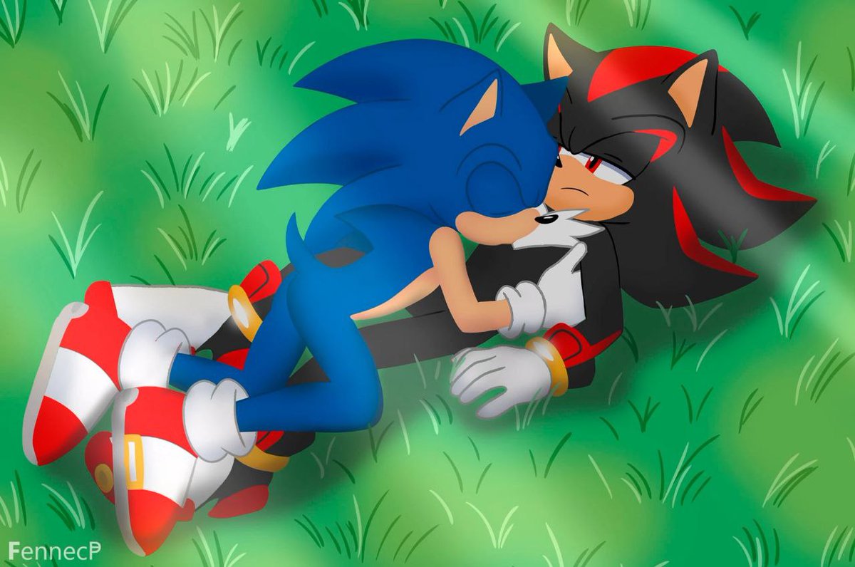 PhoenixFennec's tweet image. #PortfolioDay
I&apos;m Phoenix and I&apos;m Sonadow artist. I draw other fandoms as well, but very rarely