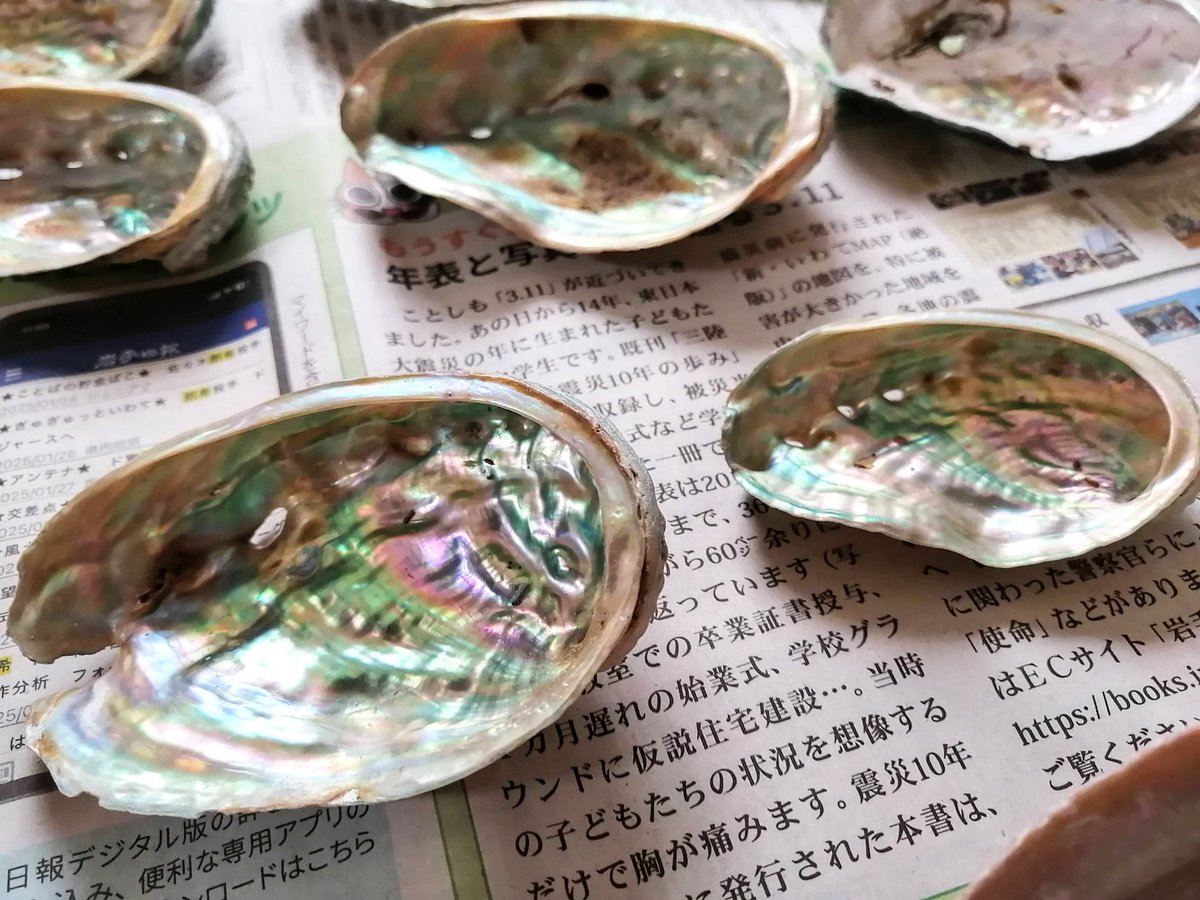 アワビ貝の加工。北日本水産さんのアワビ貝を使ってこのような薄片（薄