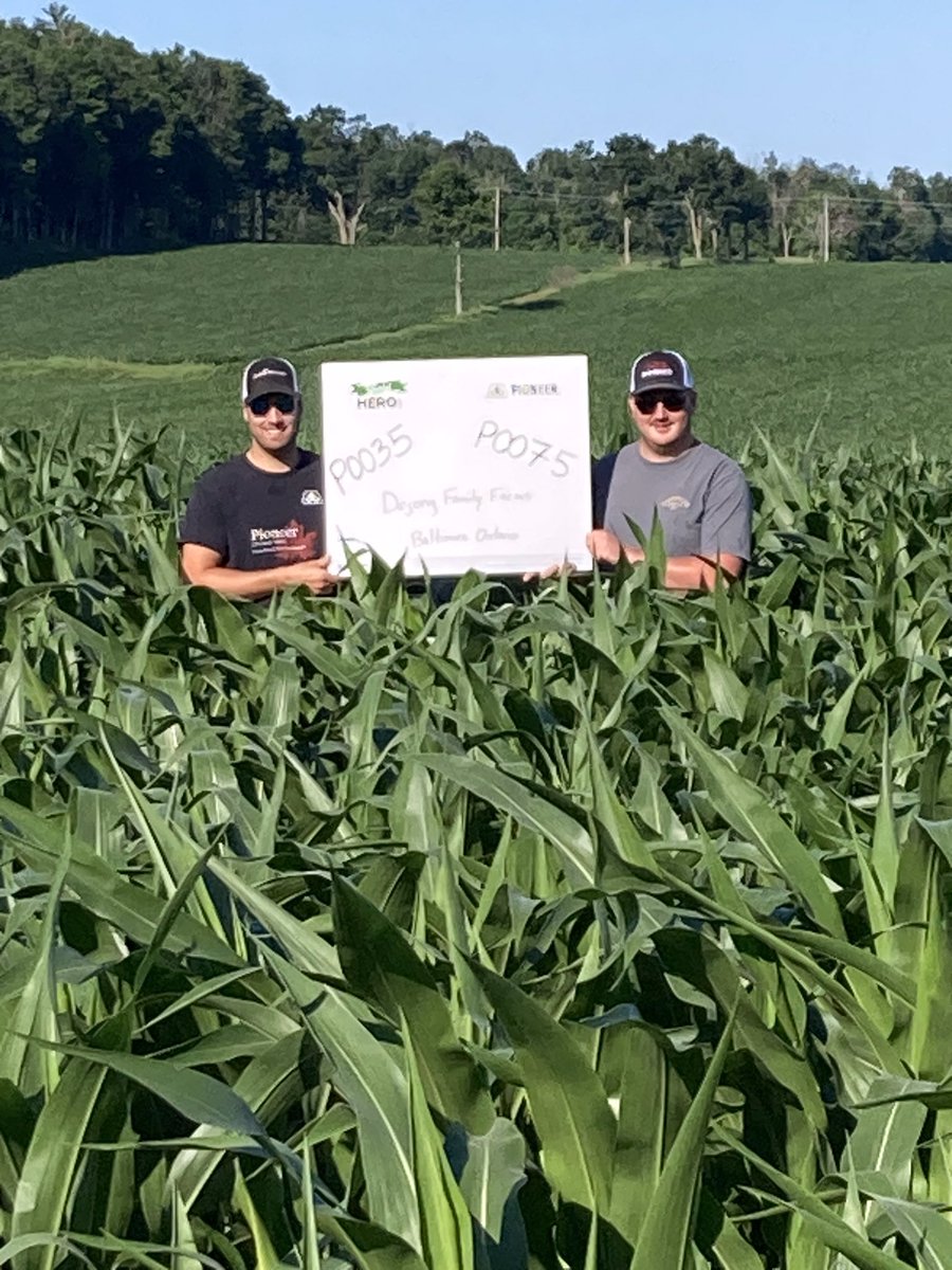 logel_chris's tweet image. When growing crops we can’t control every variable……but we strive to control what we can;
Timely planting.
Timely fertility at optimum levels.
Timely weed control.
Cropping on this farm is truly a family team affair!

#YieldHeroEast