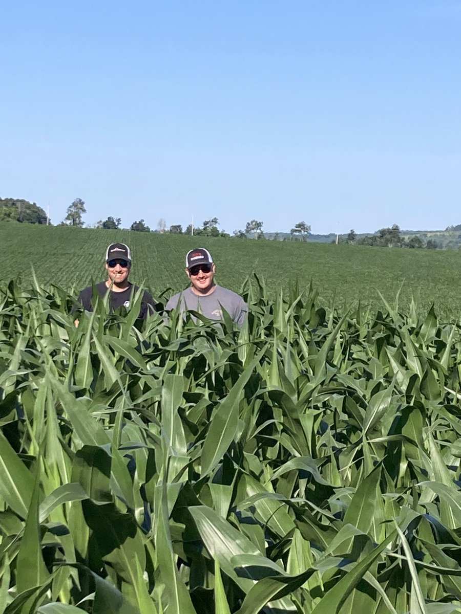 logel_chris's tweet image. When growing crops we can’t control every variable……but we strive to control what we can;
Timely planting.
Timely fertility at optimum levels.
Timely weed control.
Cropping on this farm is truly a family team affair!

#YieldHeroEast