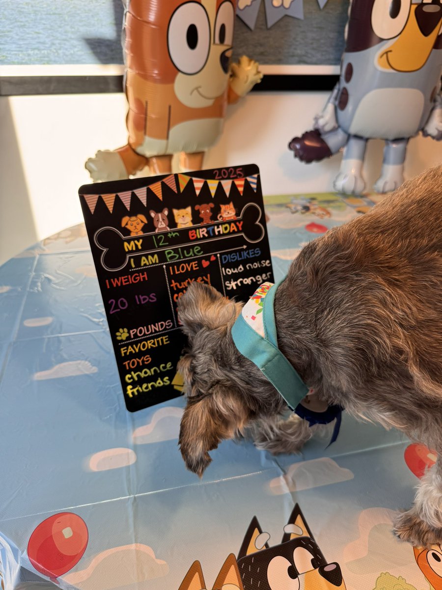 Blue 🌈 tweet media