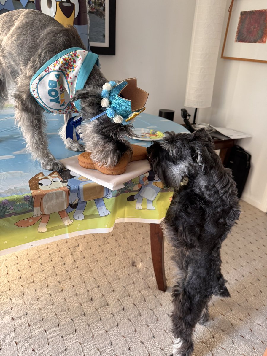 Blue 🌈 tweet media