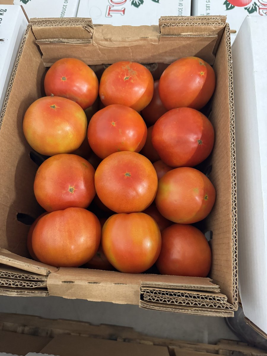 TRACTO 🚜 tweet media