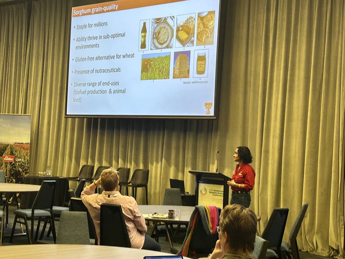 Impa Somayanda (@isomayanda) on Twitter photo Presented our research on sorghum grain quality at the ASGC2025, Gold Coast, Australia July 7 - 9th. #CropResearch <a href="/TTUDAVISCOLLEGE/">Texas Tech Davis College</a> <a href="/KJagadish_TTU/">Krishna Jagadish</a> Presented our research on sorghum grain quality at the ASGC2025, Gold Coast, Australia July 7 - 9th. #CropResearch <a href="/TTUDAVISCOLLEGE/">Texas Tech Davis College</a> <a href="/KJagadish_TTU/">Krishna Jagadish</a>