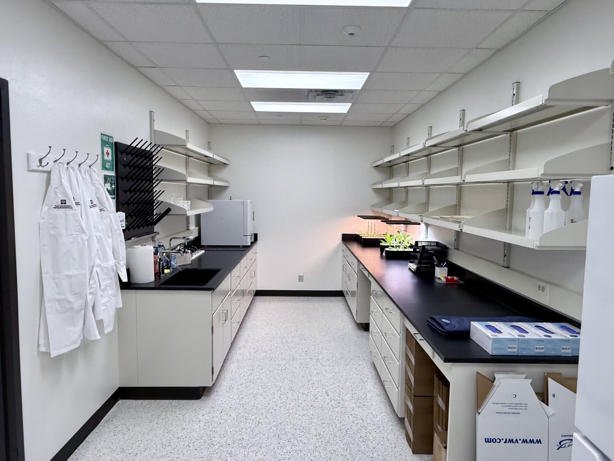 TAMUHortPhysLab's tweet image. Our new lab @tamuhort is finally coming together! 🥼🧪🧫 Lab coats, glassware, and equipment are slowly arriving, and we’re getting everything set up 🔬📦✨
Grateful to @txresearch for the renovations and to our team of grad and undergrad students. More updates soon! 🔍📢