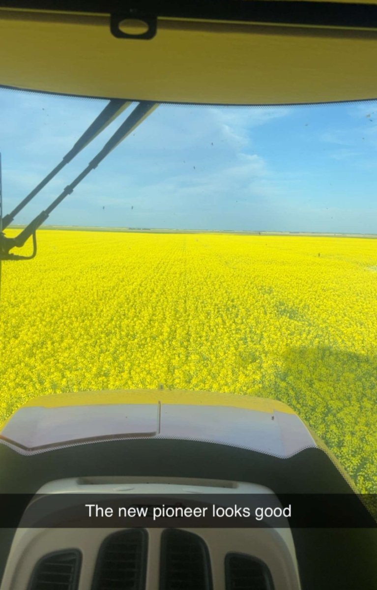 kyle laturnus (@kylelaturnus) on Twitter photo Initial impressions are rolling in. So far so good. P1540L coming in nicely.
<a href="/PioneerSeedsCA/">Pioneer Seeds Canada</a> Initial impressions are rolling in. So far so good. P1540L coming in nicely.
<a href="/PioneerSeedsCA/">Pioneer Seeds Canada</a>
