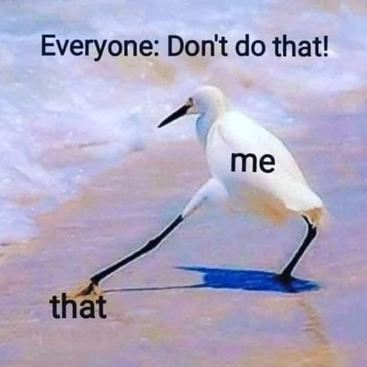 Debra Carter 🌵♿ ;;; (@debracartles) on Twitter photo 