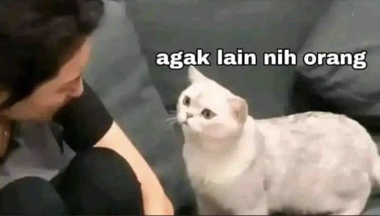 Beelzeebob tweet media