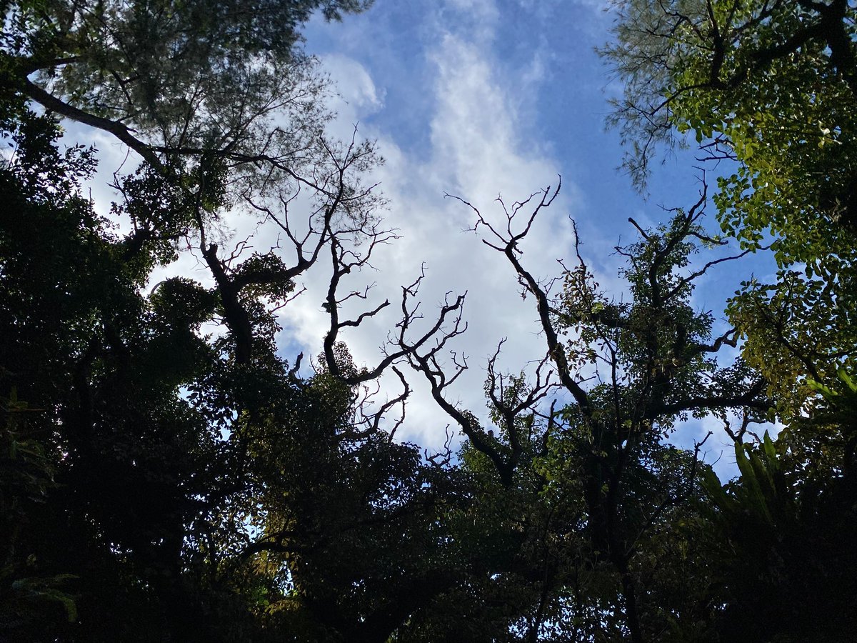 天気予報では連日雨マークの沖縄ですが

見事に晴れた！

#聖地巡礼