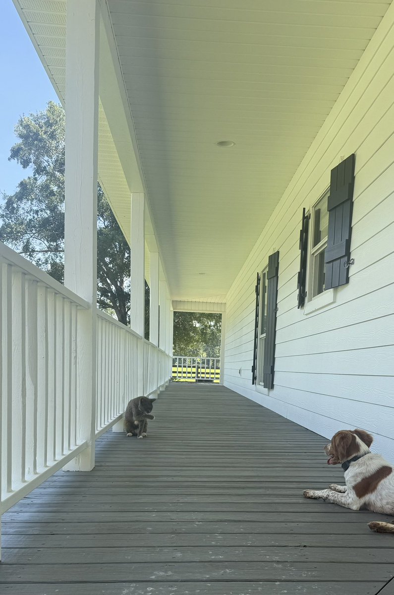 Good ole fashioned hate