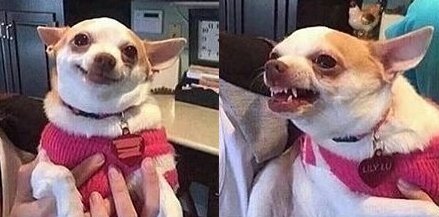 Monchiito_'s tweet image. Cuando tu asambleista es violador | Cuando el otro asambleísta dibuja.