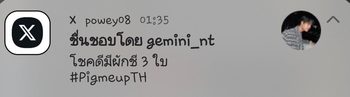 มัมหมีเลือดบริสุทธิ์!!! tweet media