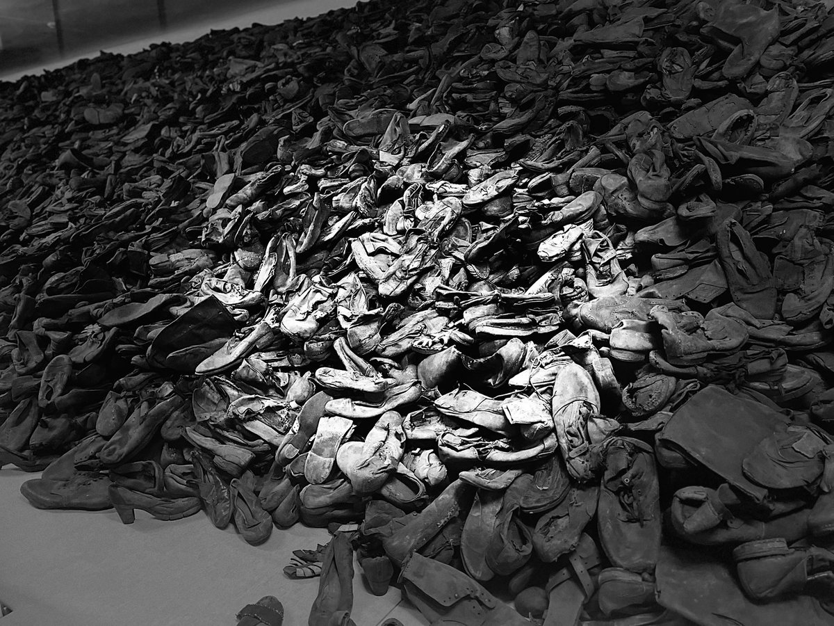 MsWestin5th's tweet photo. Just returned from Poland with Classrooms Without Borders. Visited Auschwitz, Treblinka, Majdanek, Warsaw, and Krakow. A powerful experience that deepened my understanding of the Holocaust and the importance of memory. #HolocaustEducation #CWBseminar #Bearingwitness https://t.co/QvAnxcqINP