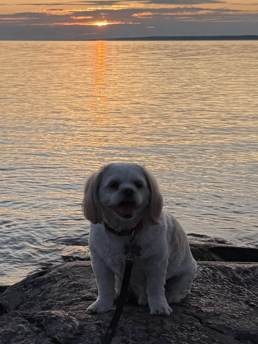 Sunset through the clouds 🌅🐶🧡
#DogLovers #Sunset #LakeNipissing