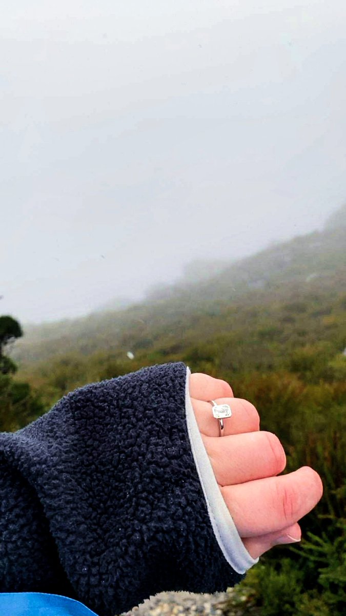 Beyond | Brad tweet media