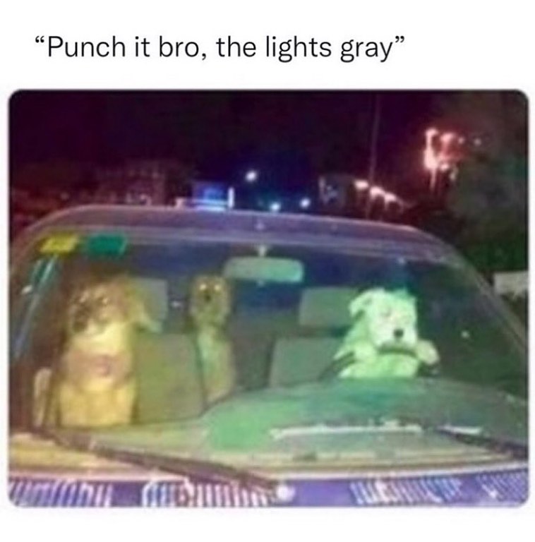 🤣🤣🤣🤣🤣🤣🤣
