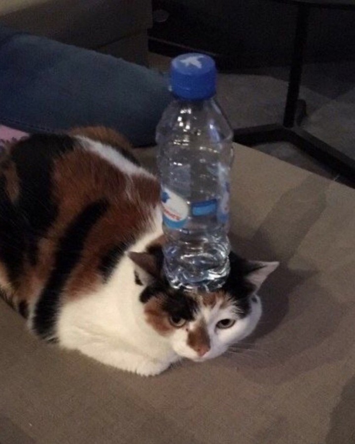 water bottle boy