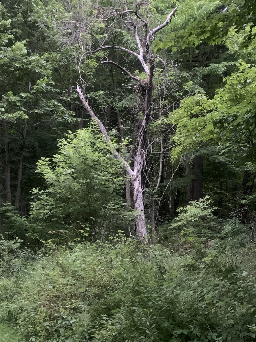 Sometimes you gotta just go out and enjoy nature