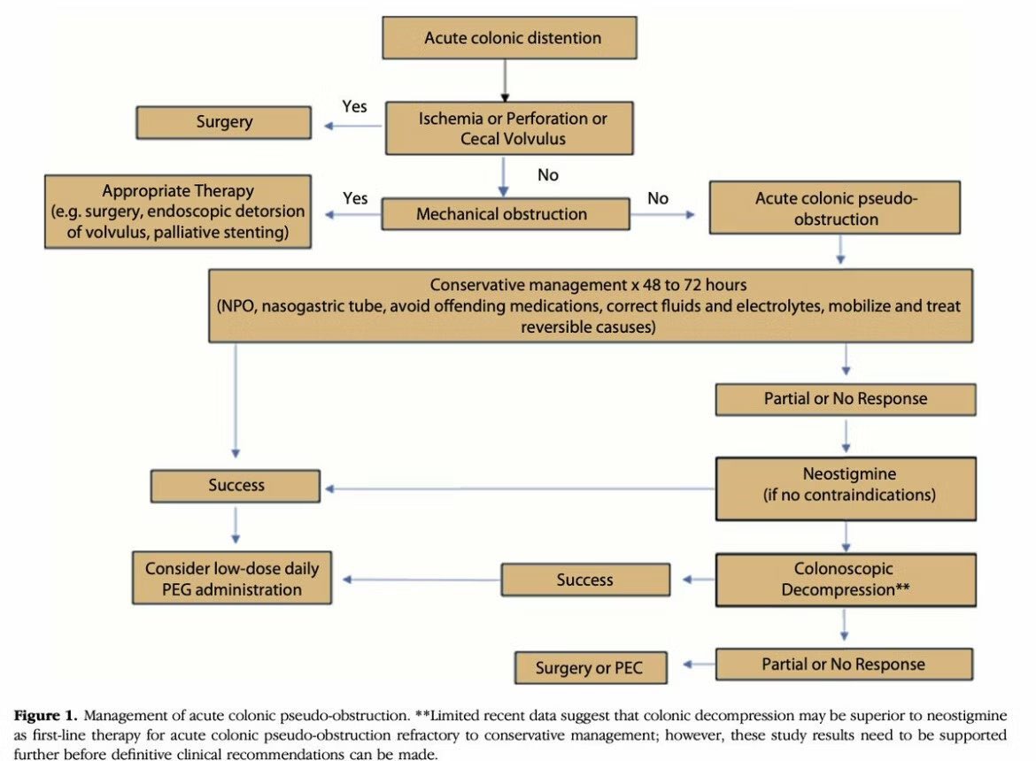 Great diagram on the management of colonic pseudoobstruction (ogilivie syndrome)! 

ref: ASGE guidelines 2020