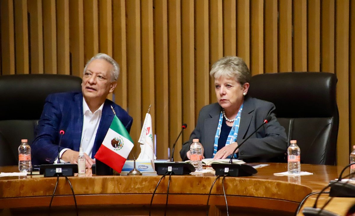 Alicia Bárcena tweet media