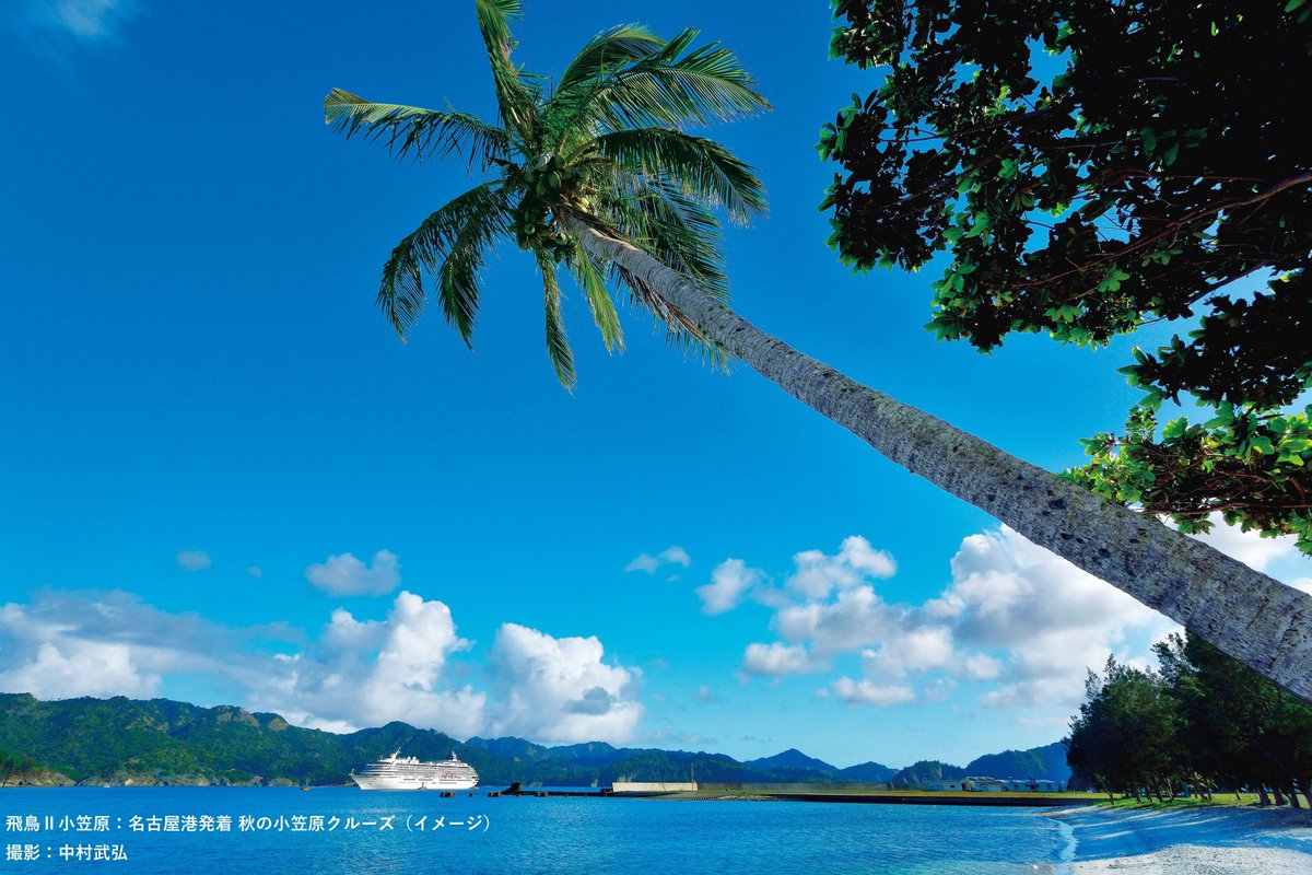 jalpakcojp's tweet image. /
人気の #飛鳥II クルーズで
上質な時間を満喫しませんか?🛳️
\
秋を満喫できる神戸・名古屋発着の
2コースをご用意!🍁
日本が世界に誇る豪華客船で
海の景色や豪華なお食事、
エンターテイメントを楽しめます🍽️✨
▼出発日限定!詳しくはこちら!
jal.co.jp/jp/ja/domtour/…