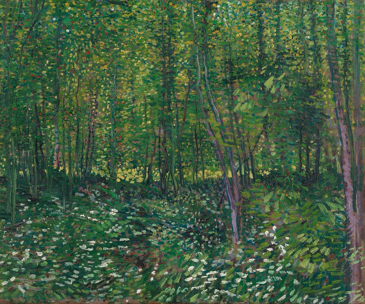 VanGoghTheLife's tweet image. #VanGogh of the Day: Tree Trunks and Undergrowth, July 1887. Oil on canvas, 46.2 x 55.2 cm. Van Gogh Museum, Amsterdam. @vangoghmuseum