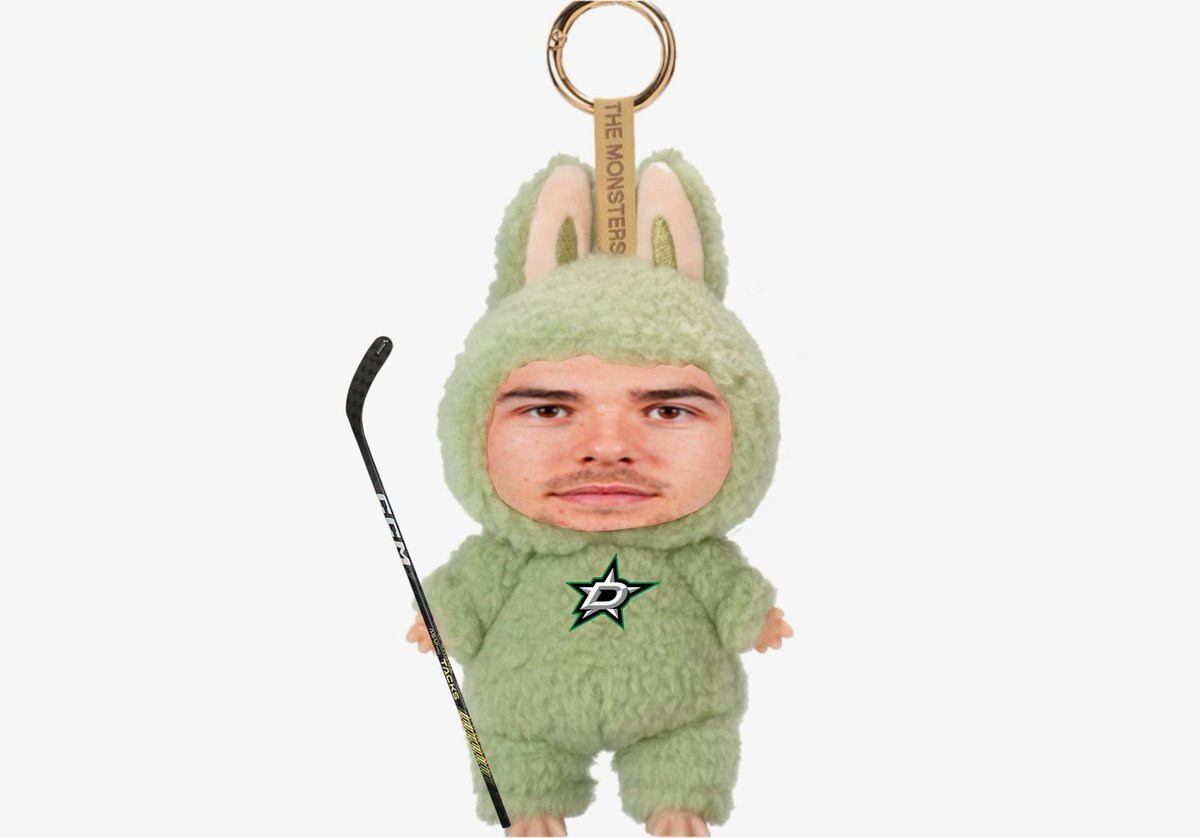 ohoettinger's tweet photo. i am the proud owner of the one and only dallas stars labourquebu https://t.co/JsvzQQztPl
