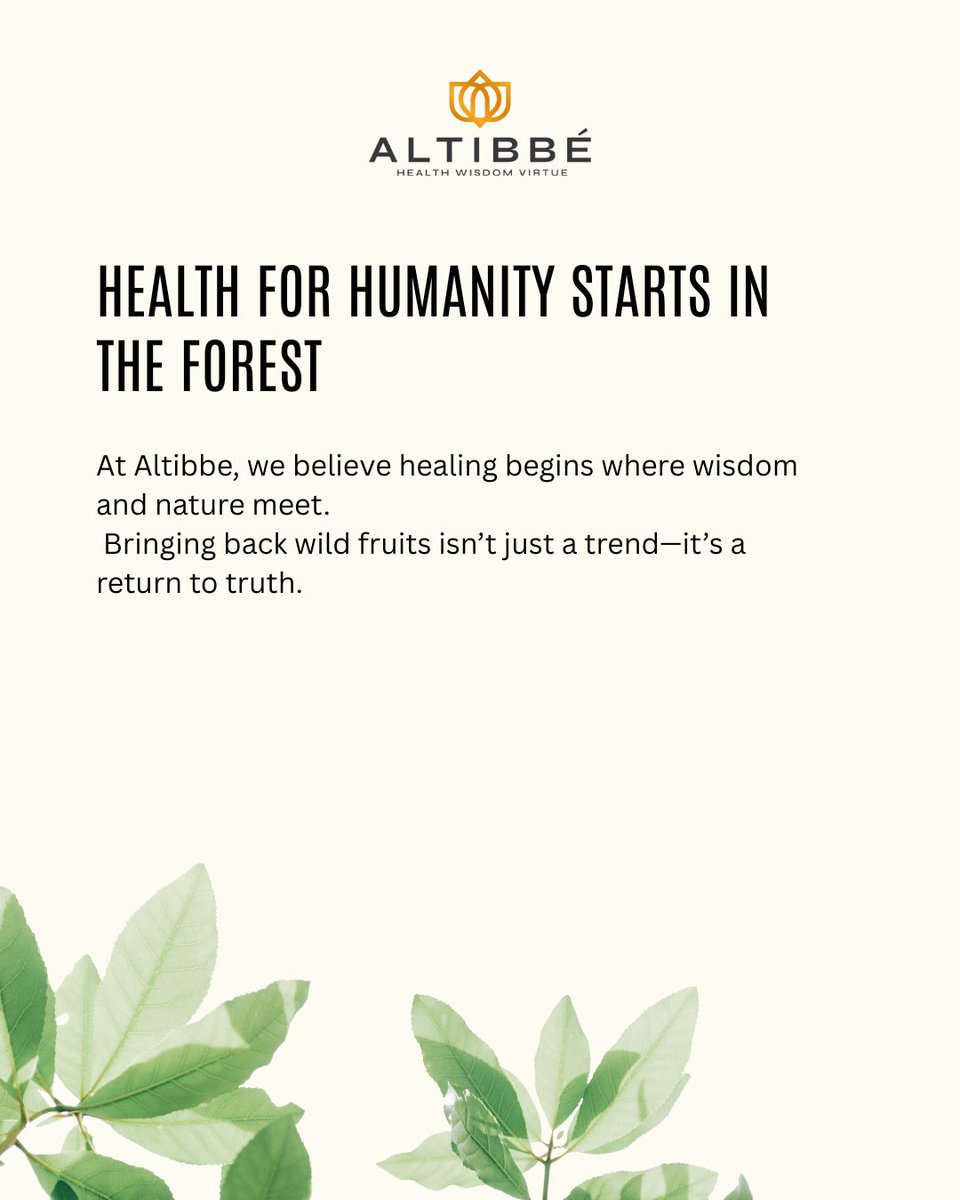 AltibbeInc's tweet photo. Wild berries like amla, elderberry, and sea buckthorn were once sacred medicine. They're back—with science behind them.

Altibbe explores their comeback and what it means for global health. 🍇🌿

#AltibbeHealth #FruitsOfTheForest #HealthForHumanity #TraditionalWisdom https://t.co/pZlY5R1BP1