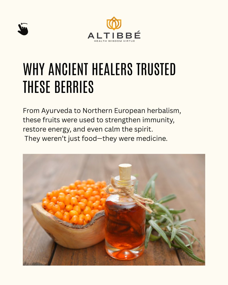 AltibbeInc's tweet photo. Wild berries like amla, elderberry, and sea buckthorn were once sacred medicine. They're back—with science behind them.

Altibbe explores their comeback and what it means for global health. 🍇🌿

#AltibbeHealth #FruitsOfTheForest #HealthForHumanity #TraditionalWisdom https://t.co/pZlY5R1BP1