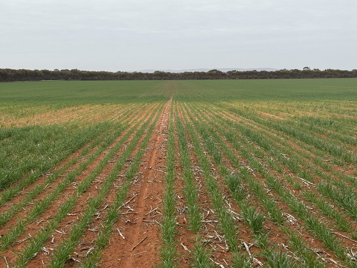 Barry Haskins tweet media