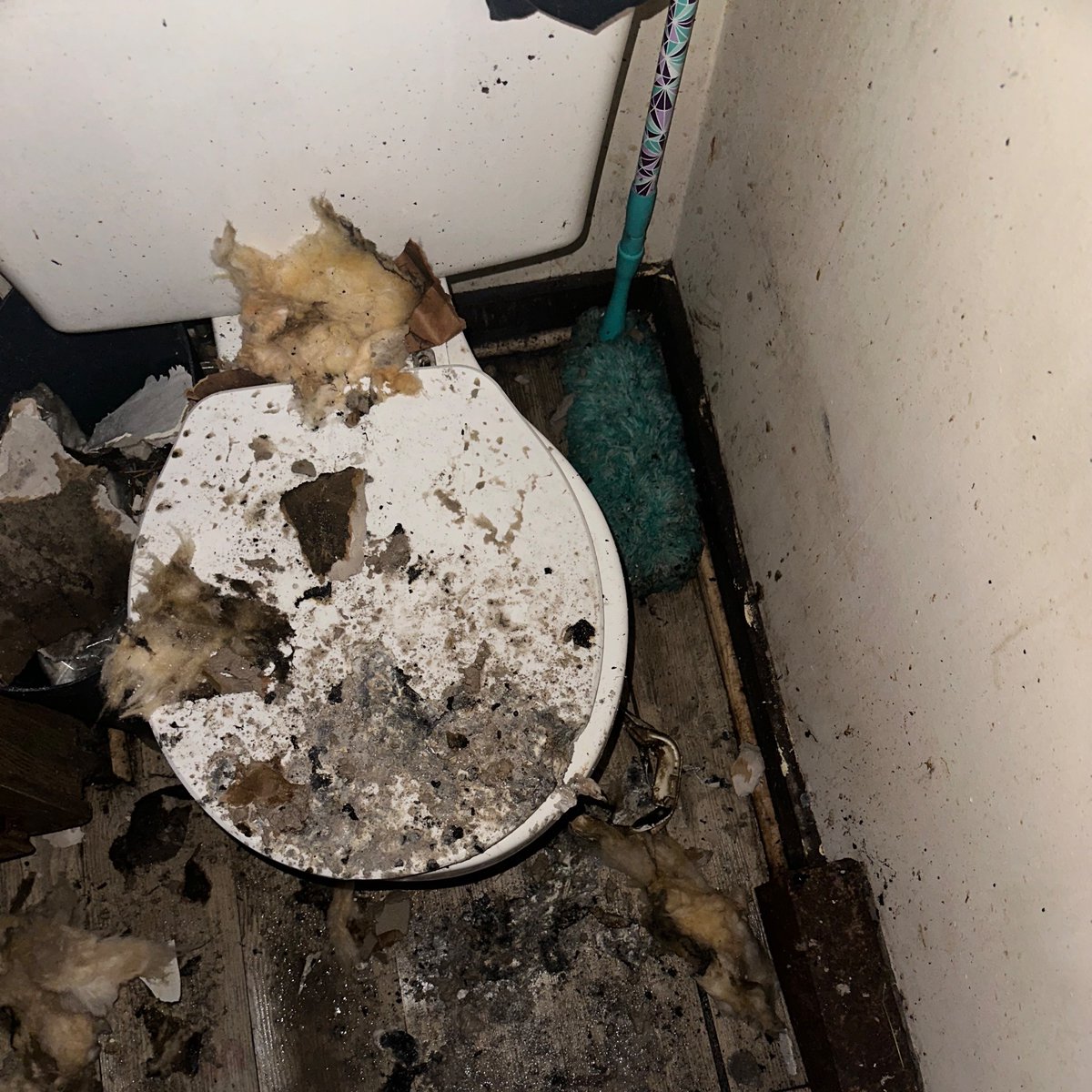 Have you ever seen a melted toilet seat? 
Now you have.
