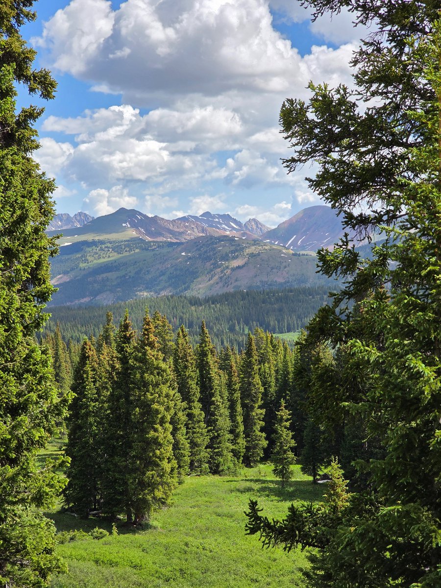 TomFlaigMD's tweet image. Happy Friday!
Rocky Mountain afternoon photo from earlier in July - Eagle County Colorado.