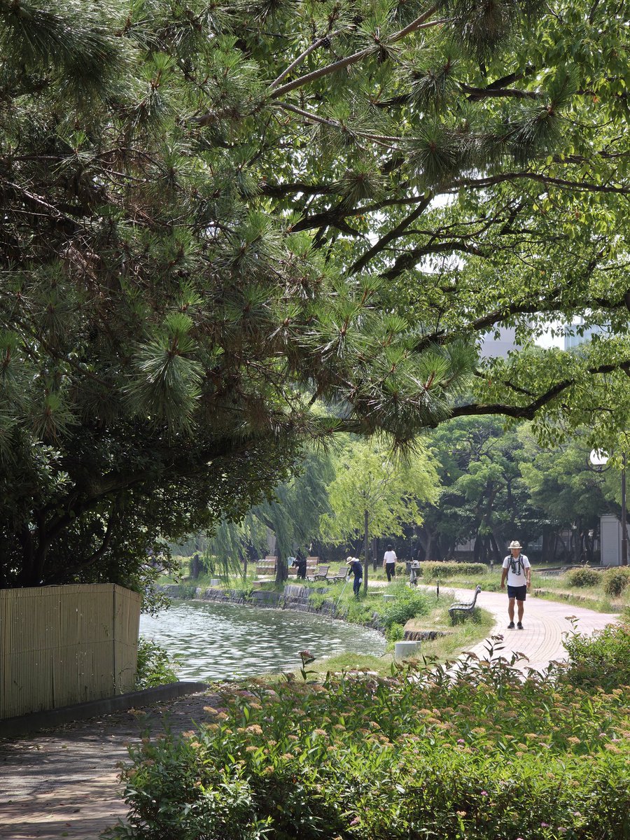 얘들아 안 더운데 일본여행가자