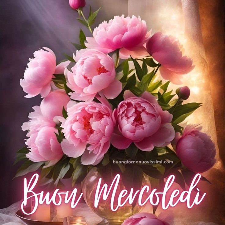 <a href="/VergariGin37861/">Gina</a> <a href="/mariacr28250504/">maria cristina lazzi</a> ☀️Buongiorno🙋‍♂️Gina☕️🍩un magnifico🍀