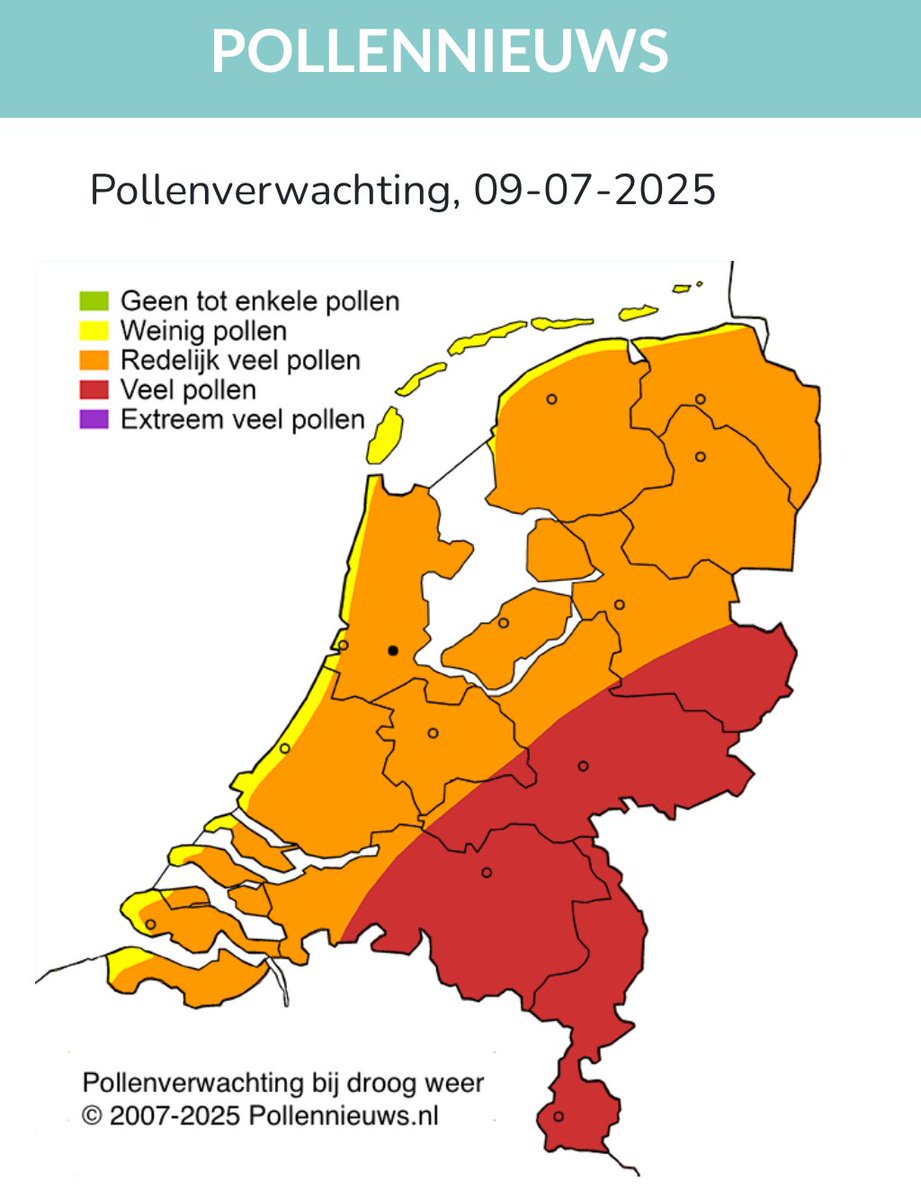 Mais en Bijvoet gaan bloeien; ook pollen van gras in de lucht.  Bioloog Maurice <a href="/FloraNederland/">Flora van Nederland</a> heeft een nieuw pollenjournaal geschreven, lees het op pollennieuws.nl. #pollen, #hooikoorts.