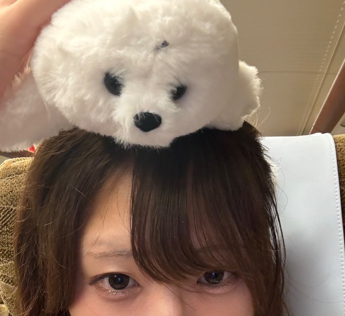 黒猫メイド魔法カフェ　ドン・キホーテ広島八丁堀店のツイート