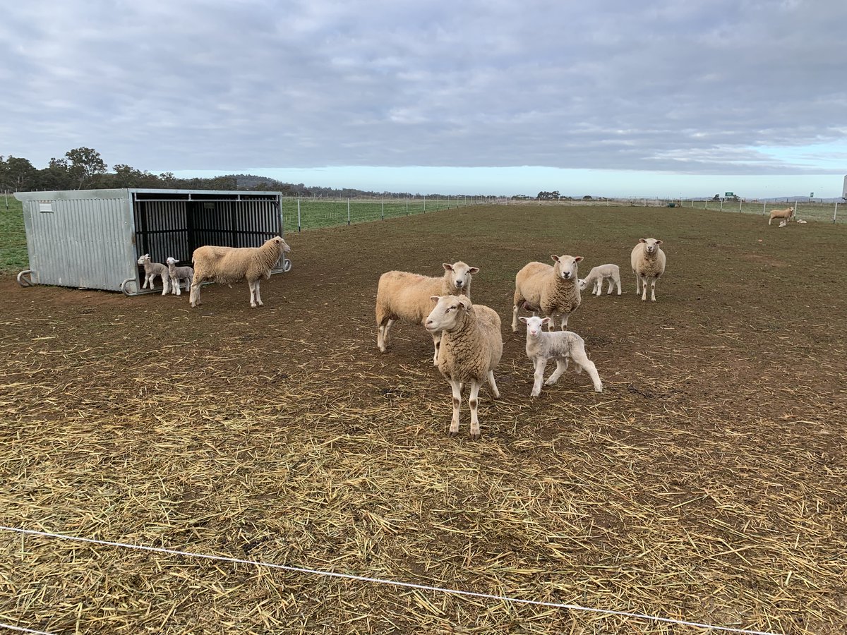 Fred Morley Centre tweet media