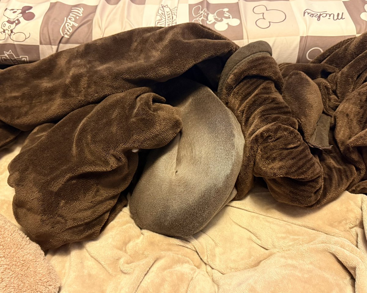 昼間はお布団に入るの上手なのに
夜になると下手くそになるのなんでなの？🤔

夏になるまでは、布団に入るの失敗すると翌朝お腹壊してた😥