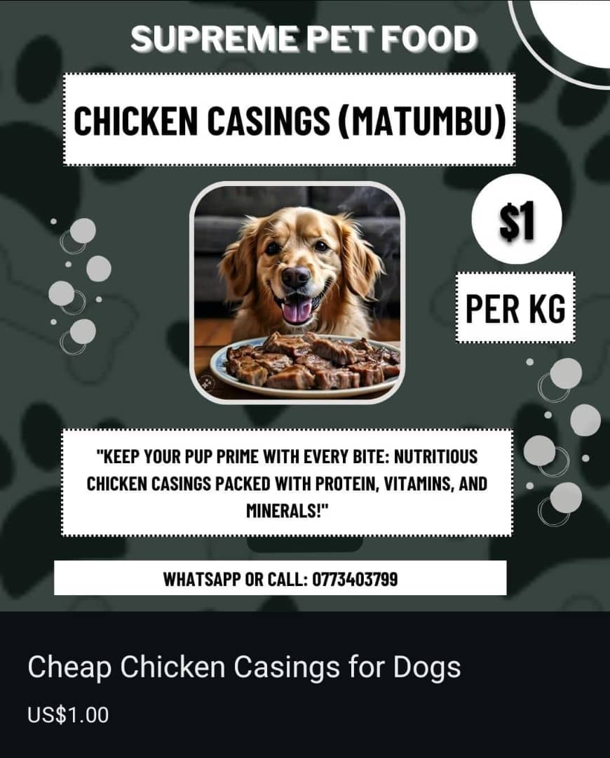 amandaenjojo's tweet photo. @RealTalkFadzie We're offering high-quality chicken casings at *$1/kg, packed in 5kg bags. Delivery available within and outside CBD, with charges based on location and weight. Visit us at 21 Inyanga Crescent, Wilmington Park, Cranborne, Harare.  0776437942 https://t.co/n4bnuloNDS