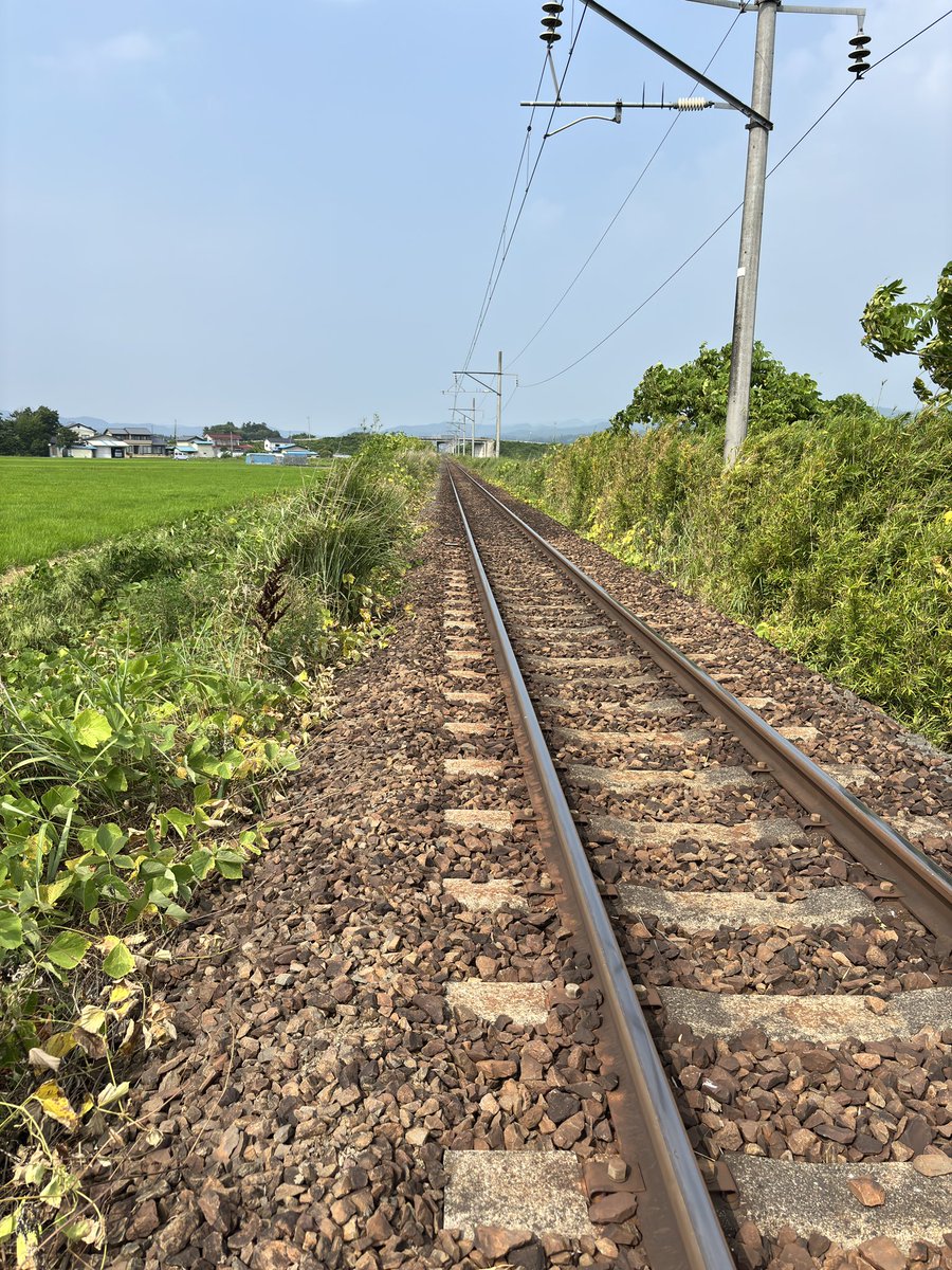 軌間内に撒いた除草剤
効果ありだ、、
うまいこと軌間外には行かなかったから良かった