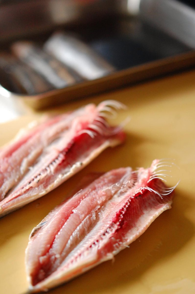 mio7007's tweet image. イワシが美味しい季節です。にぎり寿司を作りました。手開きで3枚におろし塩をふり酢でしめて。茗荷の甘酢漬けと手作りのがりもいっしょに。美味しい😋