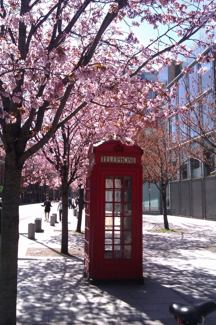 Queenbeaut39844's tweet image. London, UK 🇬🇧