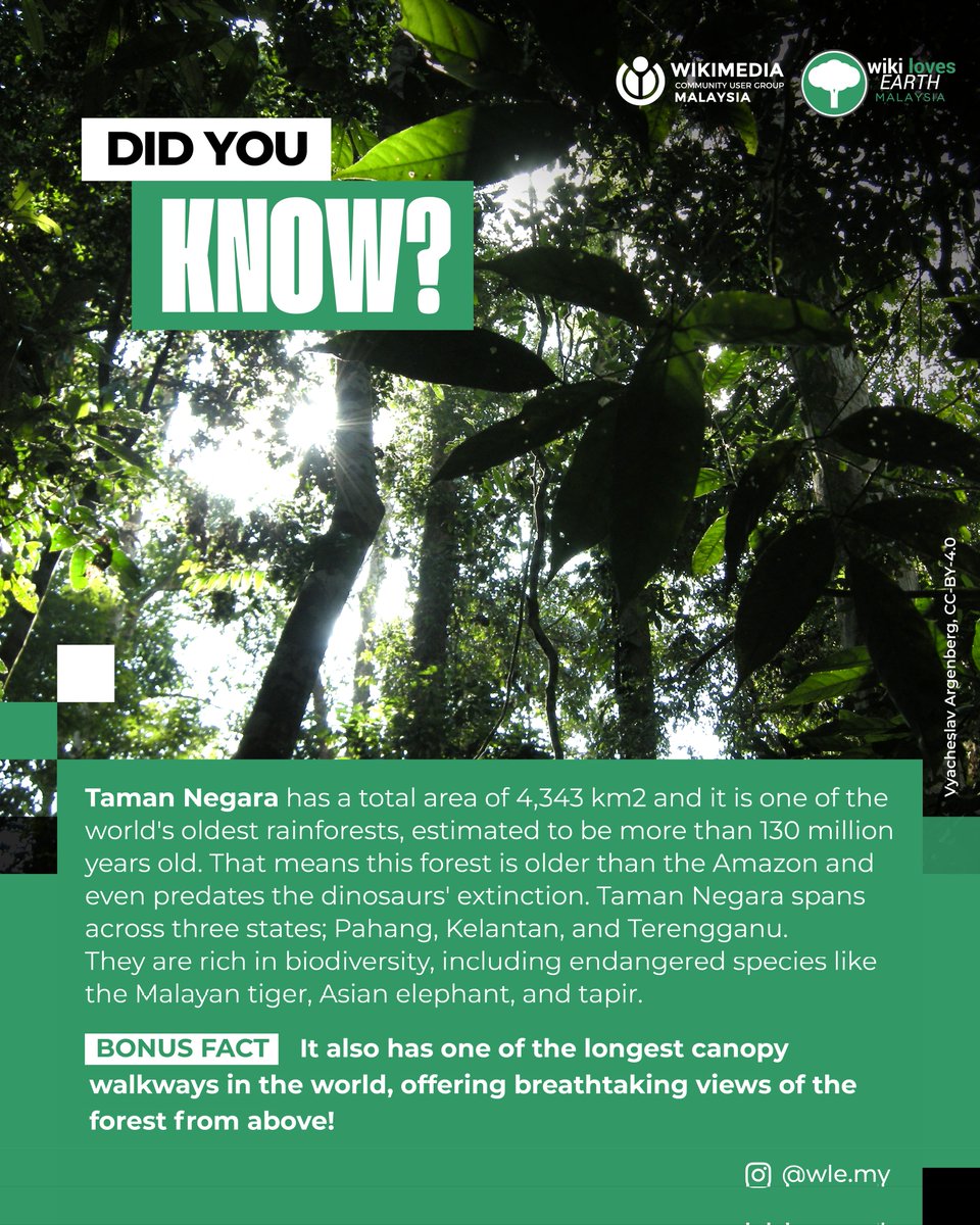 DID YOU KNOW ?

Taman Negara has a total area of 4,343 km2 and it is one of the world's oldest rainforests, estimated to be more than 130 million years old. 

#wikilovesearth #wlemy #wikimediamy
