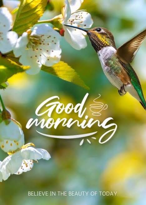 Good morning friends 😊