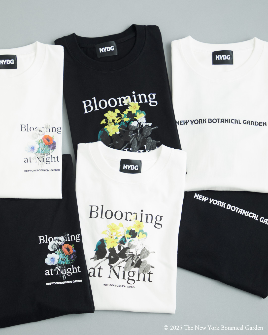☆ KITH x New York Botanical Garden コラボTシャツ ☆ NYBG Kith x New York Botanical Garden Title Page Vintage Tee