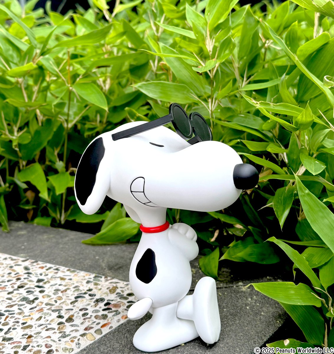 project 1/6 Amazon店は引き続き営業中！ 
現在1/6計画ではamazon.co.jpで、「VCD SUNGLASSES SNOOPY 1971Ver.」を出品中。その他人気商品も多数出品中！下記リンクよりご購入できます→amazon.co.jp/dp/B09LX5YL5L #medicomtoy #メディコムトイ #VCD  #スヌーピー