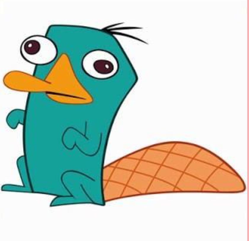 ←メキシコペリー →カモノハシペリー #日向坂で会いましょう #ひなあい