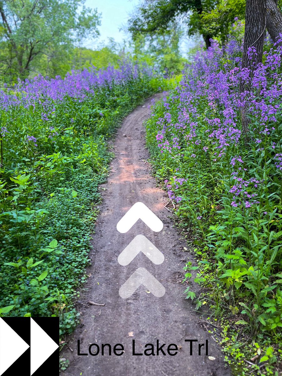 Run_Trl's tweet image. Lone Lake Trl