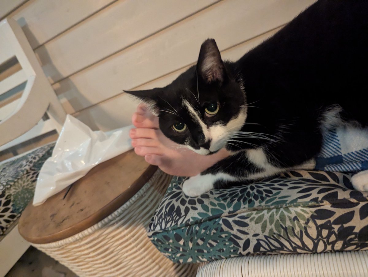 "Lemme just guard your foot here real quick..." - Pancakes