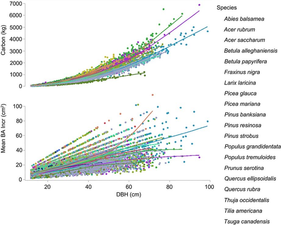 Forest Ecosystems (@forestecosyst) on Twitter photo New research shows tree growth patterns are changing, with larger trees growing faster than expected. This could impact forest management and carbon storage!🧐
#tree #forest #carbon
<a href="/Forestecosyst/">Forest Ecosystems</a>
sciencedirect.com/science/articl… New research shows tree growth patterns are changing, with larger trees growing faster than expected. This could impact forest management and carbon storage!🧐
#tree #forest #carbon
<a href="/Forestecosyst/">Forest Ecosystems</a>
sciencedirect.com/science/articl…